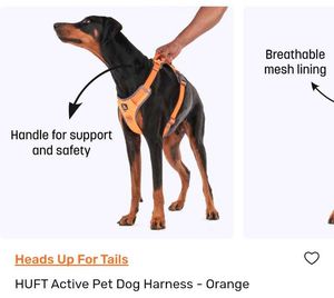 Dog Harness