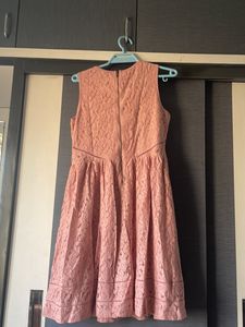 Van heusen Pink Blush Dress
