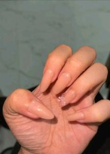 PressOn Nails