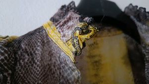 Snakeskin Print Sleeveless Dress