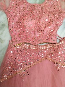 Pink Embellished Lehenga Choli Set