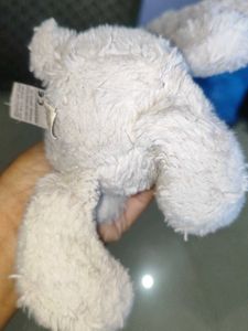 Jellycat bunny plush 🧸