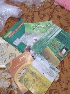 History,Civics, Geography, Economics, Hindi Reader