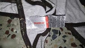 cotton thong panty