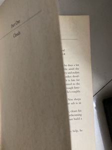 The Flood: A Novel by David Maine