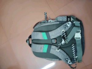 Stylish Grey Backpack