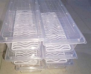 Fridge Storage Boxes Set Of Six (6)