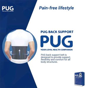 Pug Back Support (Pack of 1) | The Ultimate Soluti