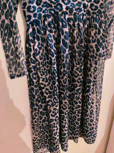 Animal Print Long Sleeve Dress