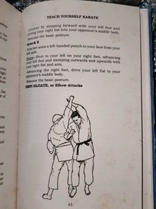 Teach Yourself Karate Book