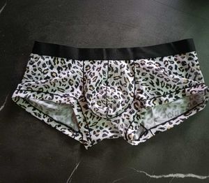 Leopard Print mesh transparent Briefs