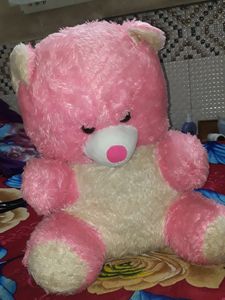 Huge Big Teddy