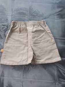 Stylish Grey Shorts with Zipped Pocket