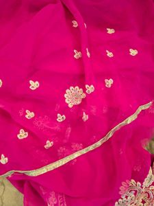 Brand New Party Wear Vibrant Saree