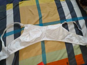 40B cotton bra