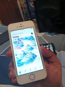 Apple iPhone 5s 16GB Gold