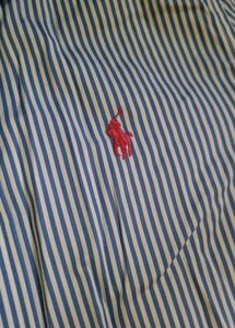 Polo Ralph Lauren Blue Checked Shirt - Authentic