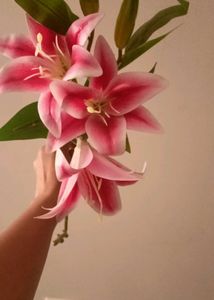 lily flower stick