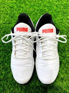Puma White & Red Sneakers