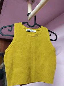 Zara Mustard Crop Top
