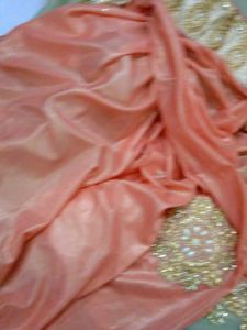 Elegant Peach Embellished Saree
