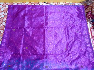Shinning Dual Colour Saree Without Blouse
