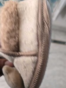 Cute Bear Slippers