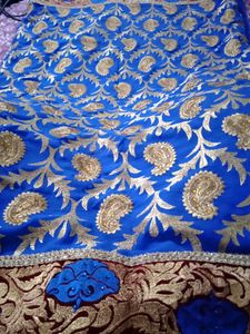 PRICE DROP!!! Paisley Saree