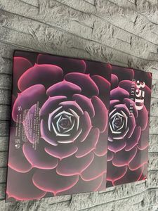 Vibrant Eyeshadow Palette