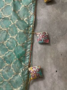 Beautiful Mint Green saree