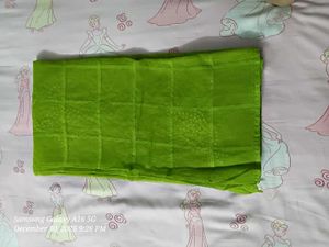 Green Embellished Saree