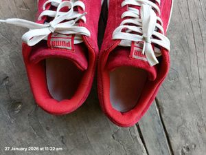 puma suede sneakers for men
