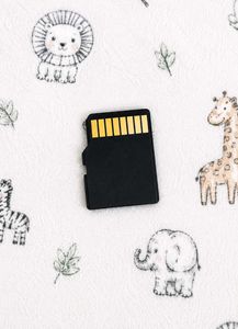 Toshiba 8GB MicroSD Card