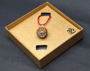 Sath mukhi Rudraksh