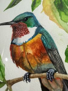 Watercolor Canvas Painting Hummingbird