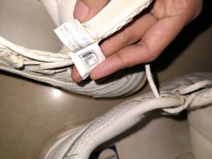FILA DISRUPTOR SHOES for woman