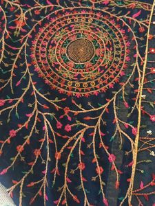 Royal kashmiri thread and sequence work duptta