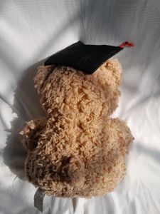 Graduation Teddy Bear Gift