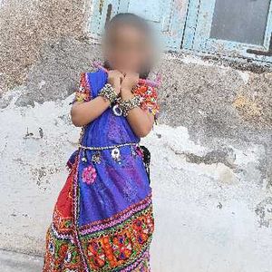 Embroidered Lehenga Choli Set