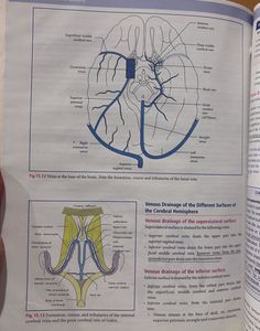 Medical Textbook-vishram Singh