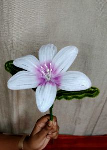 Beautiful White Pipecleaner Flower🤍