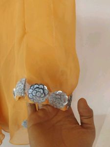 beautiful Indo Western lehenga