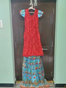 Beautiful Embroidered Sky Blue Skirt
