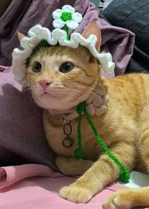 Handmade Crochet Flower hat for cats