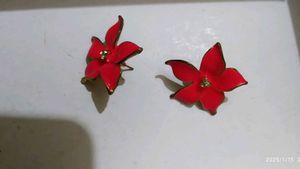 Multi Colour Earrings