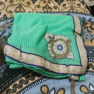 Beautiful Green Saree with Embellishments
