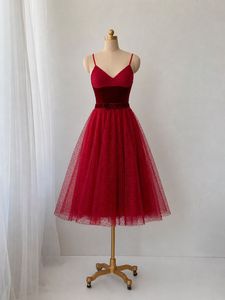 Elegant Red Velvet & Tulle Dress