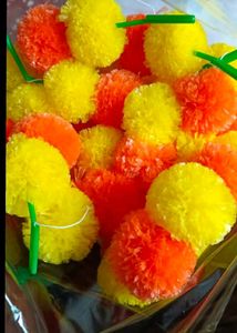 Marigold Strings