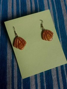 Shell Design Earrings