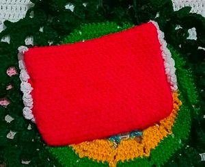 🌱 Cute Purse 🔆